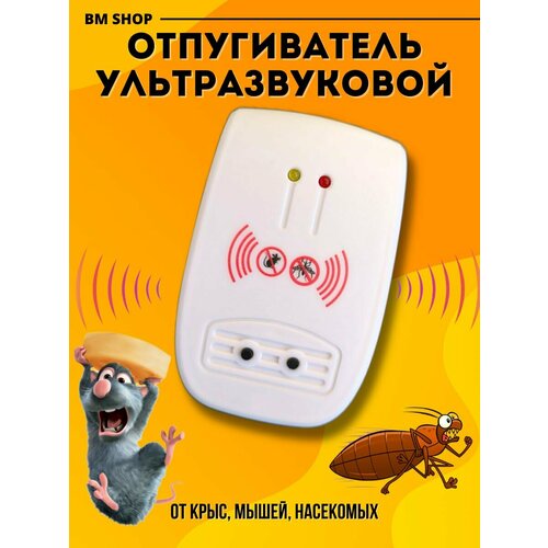 ���� ������������ ����, ����� � ��������� , ���������, ������ �� 280 ���