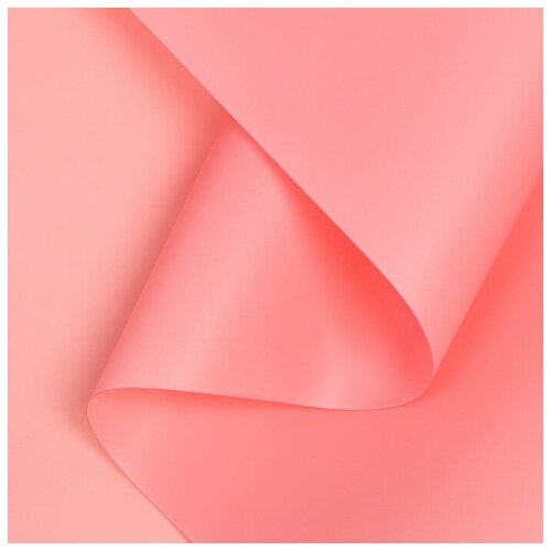 ���� ������ ����������� ����-���� 