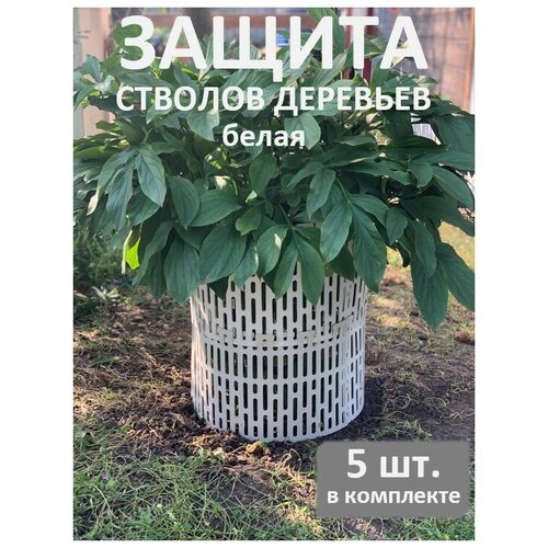 ���� ������ ������� �������� AKAPLAST �����/ ������ �������� �� ����, �������, ��������. ����� 5 ��, 37�21, ������ �� 330 ���