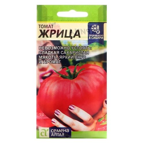 ���� ����� 