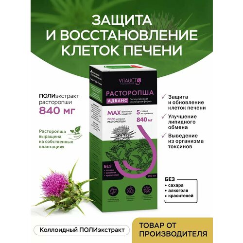 ���� ���������� ������ ������� 250 ��, ������ ������, ������ �� 768 ���