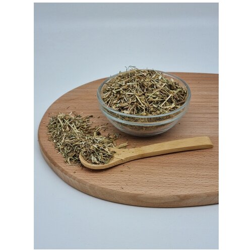 ���� ������������� ����� 1��, ������ �� 600 ���