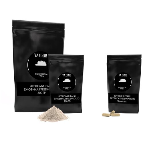    (). .  .  100 .,   848 