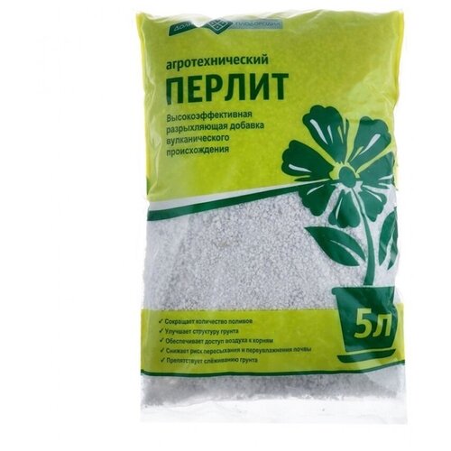 ���� �������-������ ��� �������� ����� �������� ���������� 