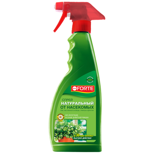  BONA FORTE      -, 500 , 500 ,   329 