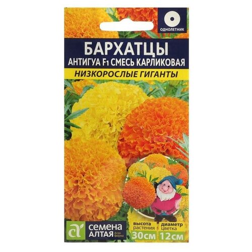 ���� ������ ����� ������ ������ �������� �������, ����� ����������, ���. ���, �/�, 5 ��, ������ �� 272 ���