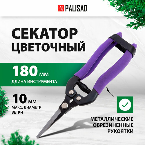   PALISAD 60554 180   -     , -, 