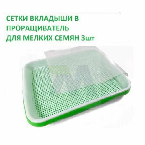   -       (     !)   , , , : 3,   450 