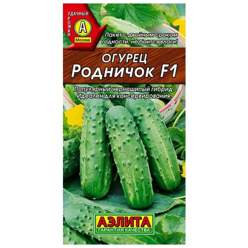 ���� ������. ������ 