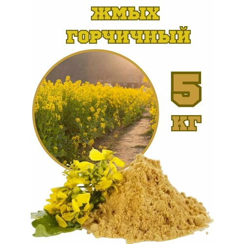 ���� ���� ��������� 5��, ������ �� 800 ���