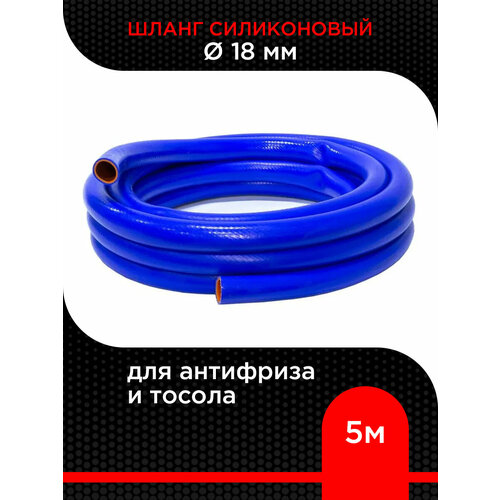 ���� ����� ����������� d 18 �� ( 5 � ) ��� ��������� � ������, ������ �� 1586 ���