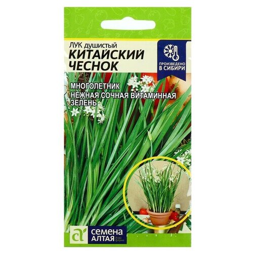 ���� ������ ��� �������� '��������� ������', ��, 0,5 �, ������ �� 67 ���