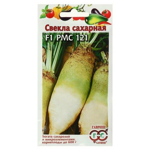 ���� ������ ������ 