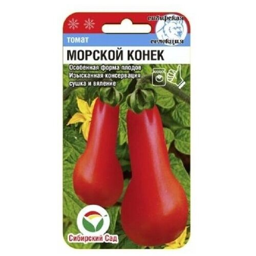 ���� ������� ����� 20�� ����� (��� ���), ������ �� 56 ���