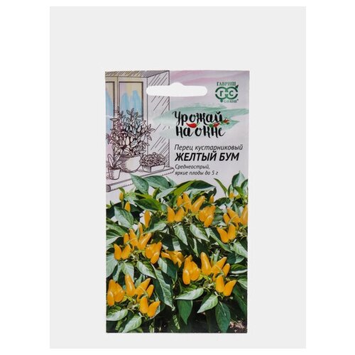 ���� ������. ����� ������������� 