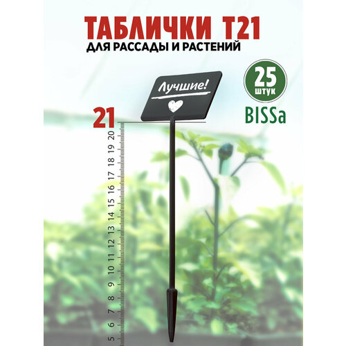       , Bissa 21, , 25 ,   810 