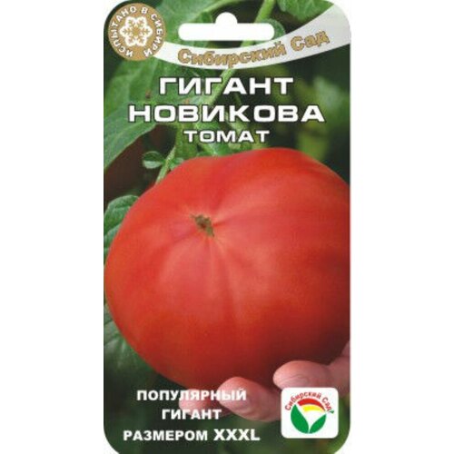 ���� ������ ����� ������ �������� 20�� ����� (��������� ���) XXXL, ������ �� 43 ���