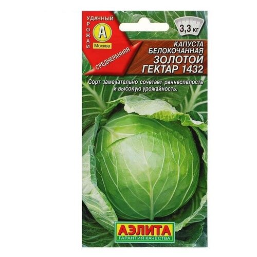 ���� ������ ������� ������������ 