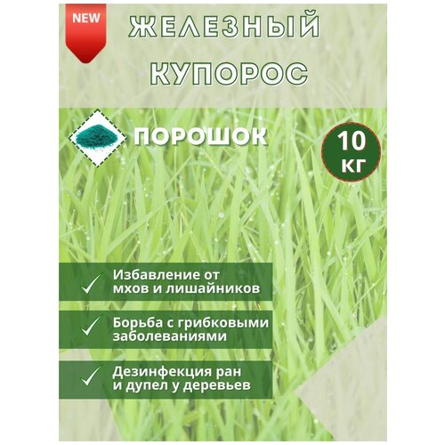   , 10 .         ,   3000 