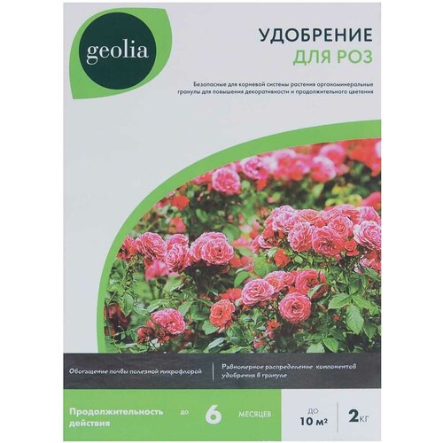   Geolia    2    -     , -, 