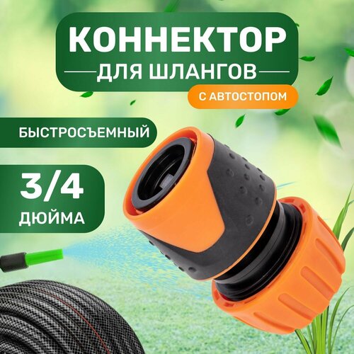 ���� ��������� ��� ������, ������������� � ���������� 3/4 ����� ������ ������, ������ �� 162 ���