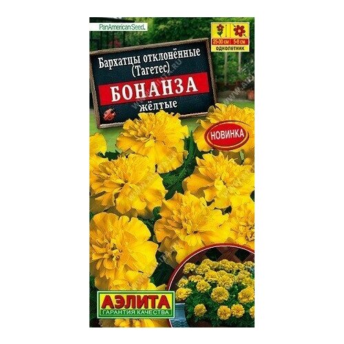 ���� �������� ������� ������ 10�� ������, ������ �� 63 ���