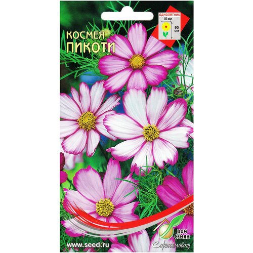 ���� ������ ������, 50 �����, ������ �� 238 ���