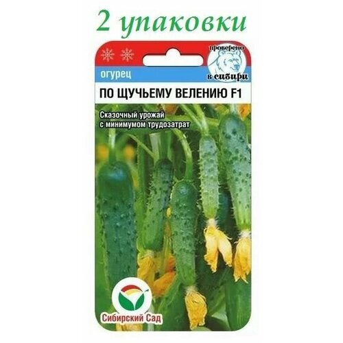 ���� ������ �� ������� ������� F1 (7��) 