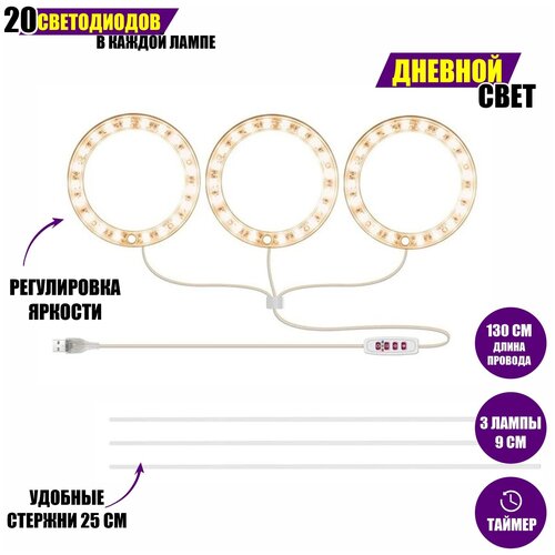 ���� �������������� ��� ��������: 3 ����� �� ���������� ����� � ������������ �������, ������� ����, ������ �� 1424 ���