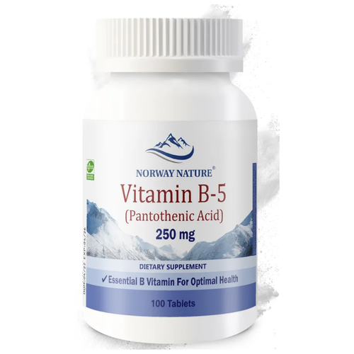 ���� Norway Nature B-5 Pantothenic Acid (������� B-5 ������������ �������) 250 �� 100 ��������, ������ �� 2030 ���