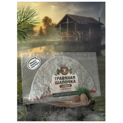 ���� ��������� �������� ������� 