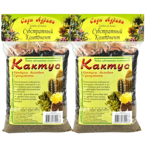 ���� �������� 