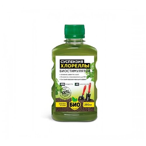 ���� ��������� ���-�������� ��������� ��������, 0.25 �, 280 �, 1 ��., ������ �� 310 ���