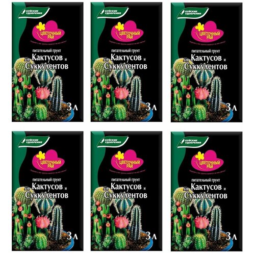 ���� ����� ����������� 