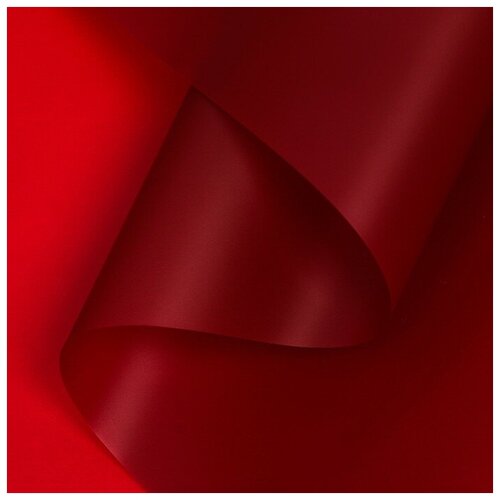 ���� ������ ����������� ����-���� 