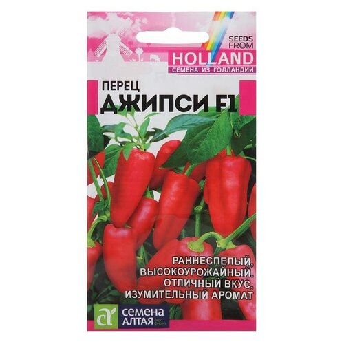 ���� ������ ����� ������� 