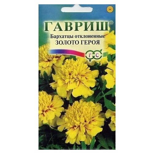 ���� ������ �������� ����������� (�������) ������ �����, 0,1�, ������, ������ �� 43 ���