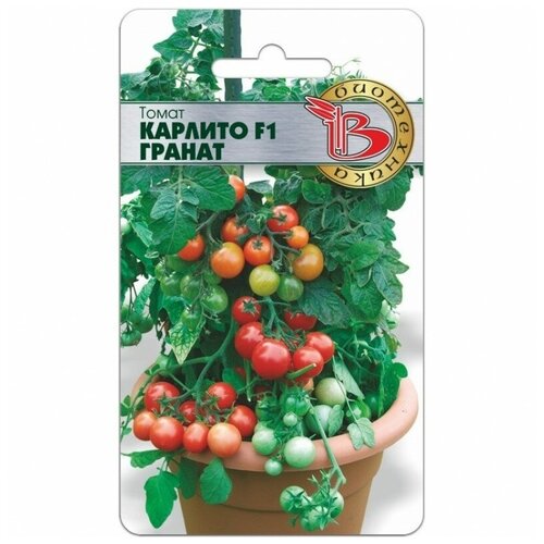 ���� ������� ����� 