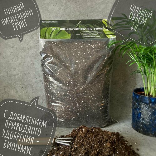 ���� ������� ����� � ���������� ��� ��������� �������� �������� Terracotta Plants, 8 ������., ������ �� 599 ���