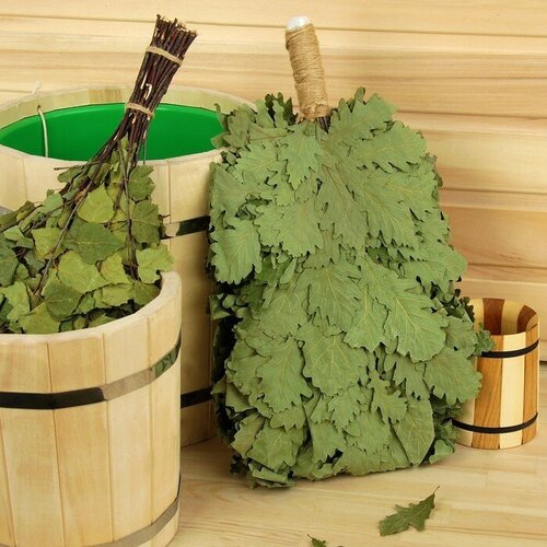 ���� ����� ��� ���� �������, 55 �� 