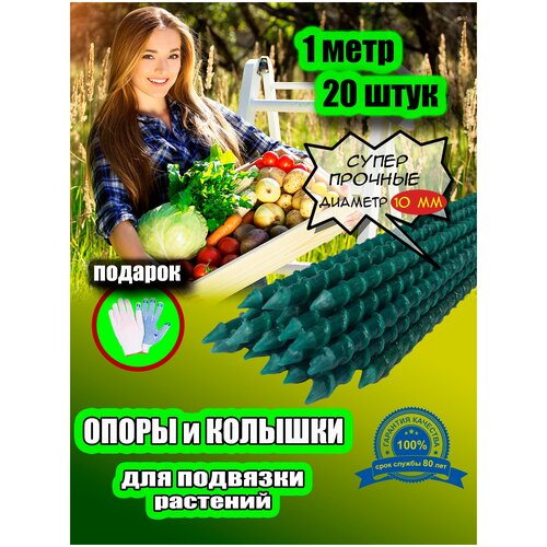 ���� ������� ������� ����� ����������� �������������� ����� 100 ��, ������� 10 ��, �������, 20 �� � ��������, ������ �� 1235 ���