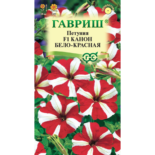 ���� ������ ������� ����� ����-������� �������������� 7�� ��� 25�� (������), ������ �� 43 ���