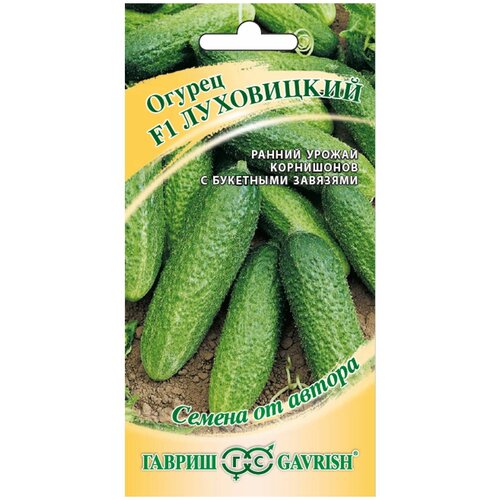 ���� ������ ������ ������ �� ������ ������ ���������� F1 10 ��., ������ �� 547 ���