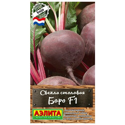 ���� ������. ������ �������� 