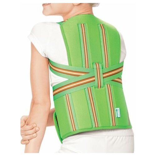 ���� ��������� ������ ��� ����� TLSO-250(P) Orlett, ������: M, �������, ������ �� 5391 ���