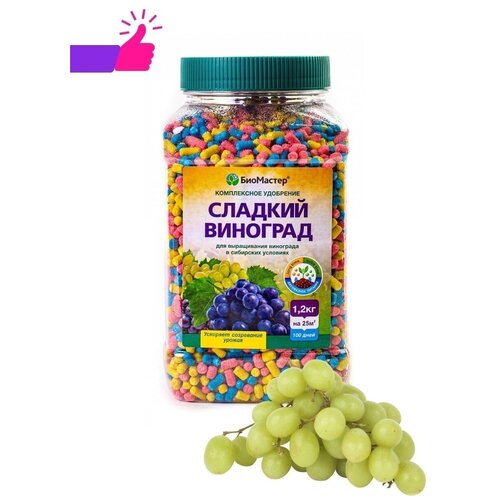 ���� ����������� ��������� 