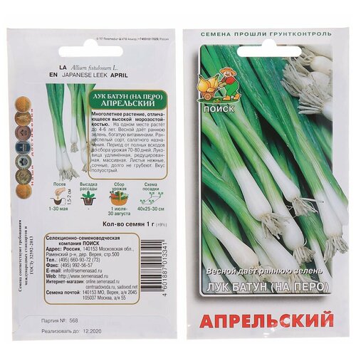 ���� ������ ����� ��� ����� ���������� 1 �, ������ �� 48 ���