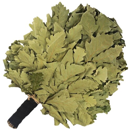 ���� ������� ����� 