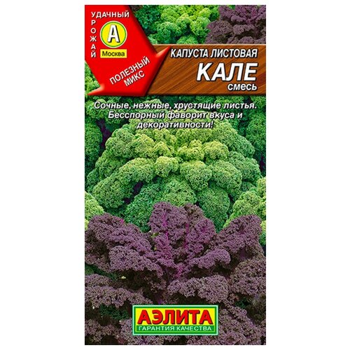 ���� ������. ������� �������� 