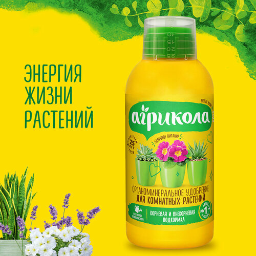 ���� ��������� ��� ��������� ������ �������� ���� (�� 250 ��), ������ �� 199 ���